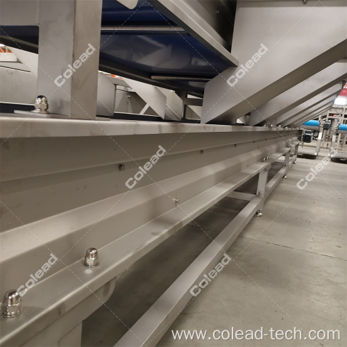 Food grade working conveyor belt for vegetable